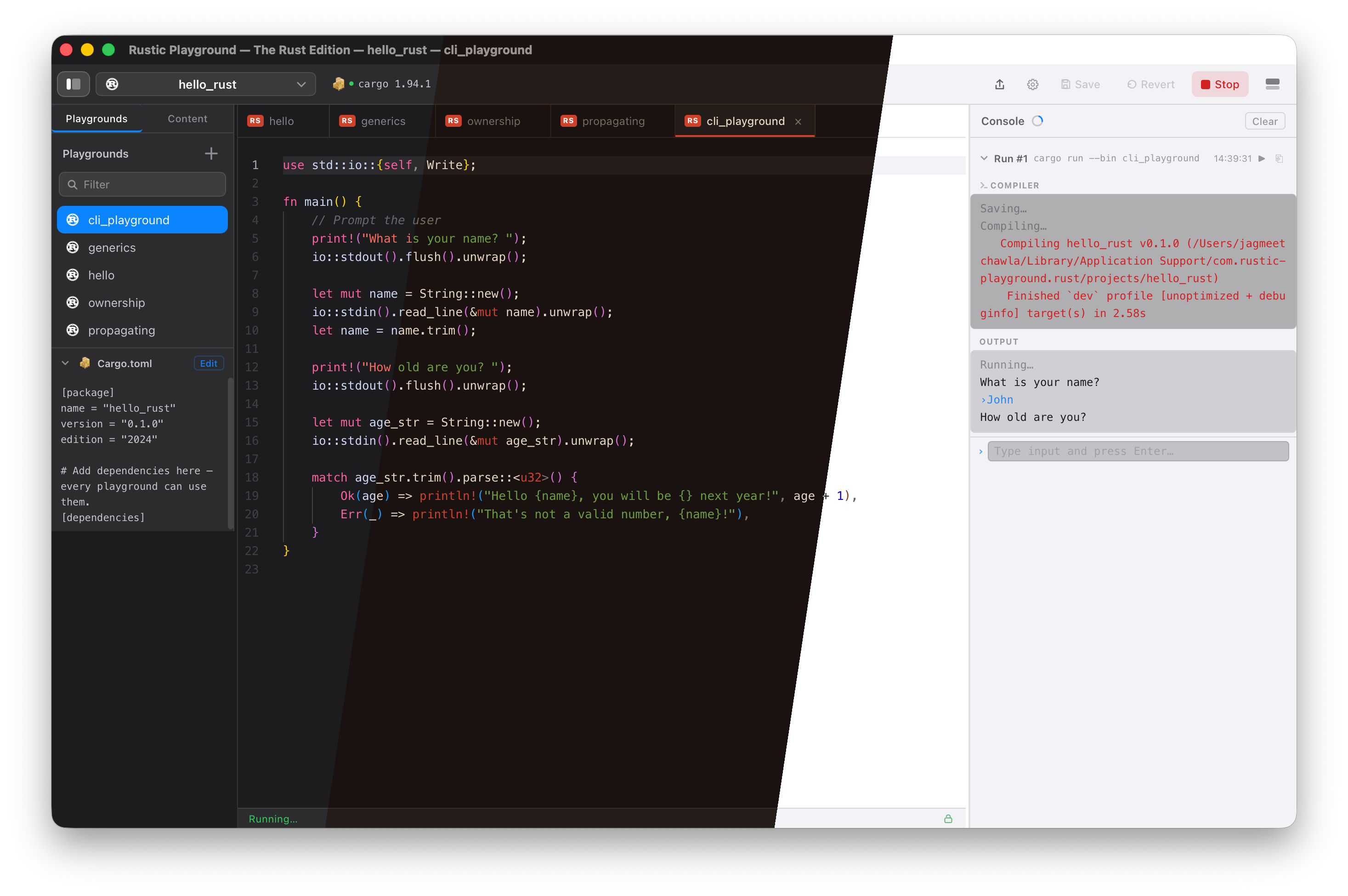 Rustic Playground in Dark, Rust, and Light themes — writing and running Rust code with live console output