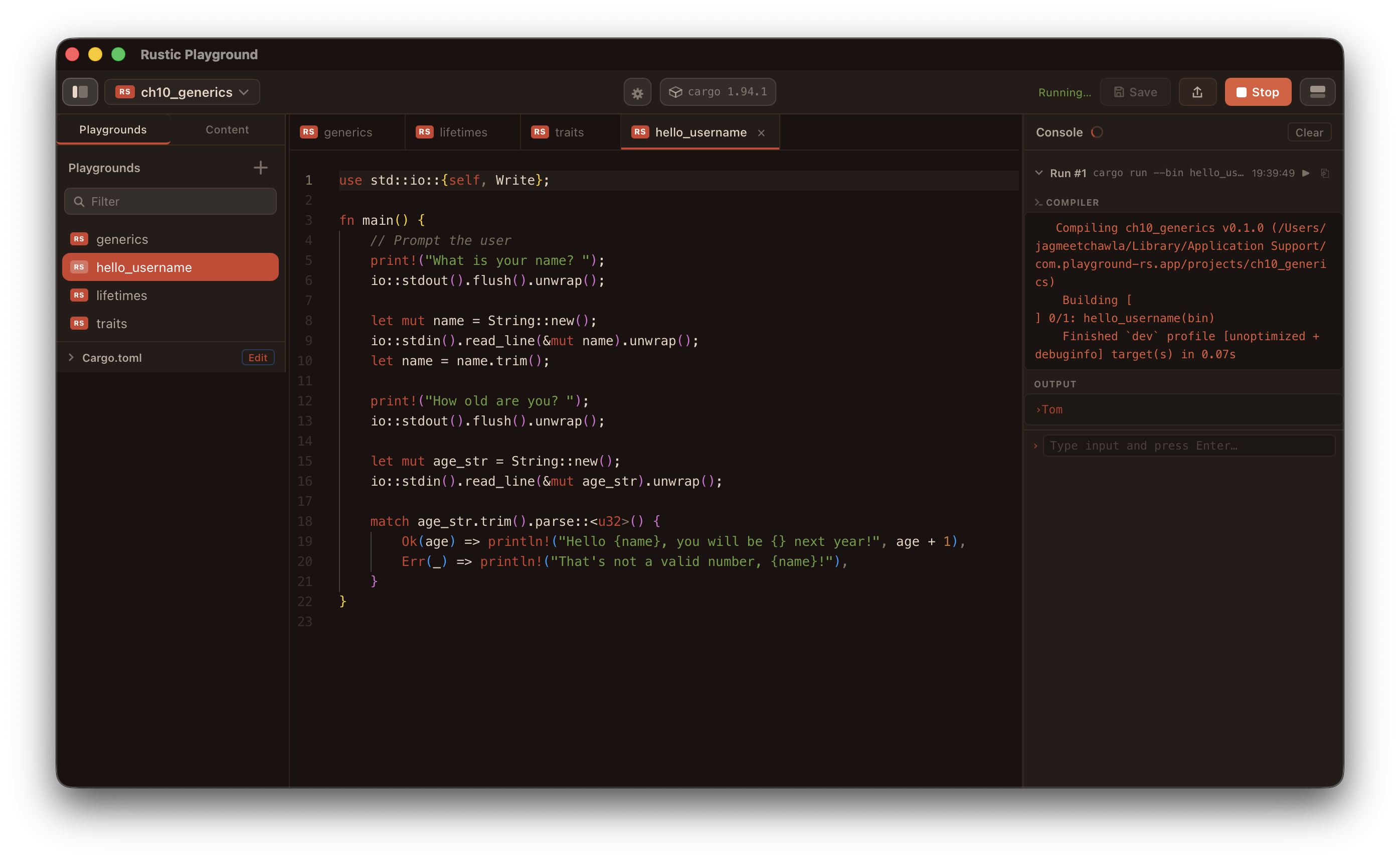 Rust theme showing book examples
